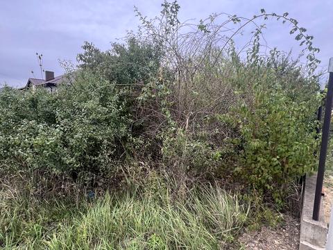 ділянка за адресою с. Баранинці, Грушевського