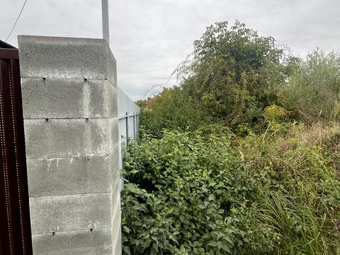 ділянка за адресою с. Баранинці, Грушевського