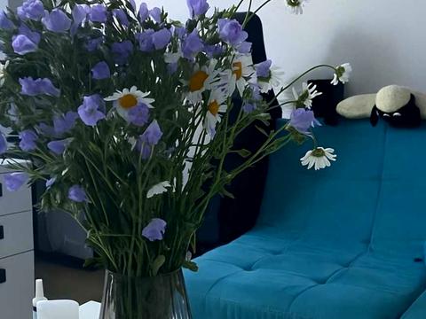 квартира по адресу Новогодняя ул., 45