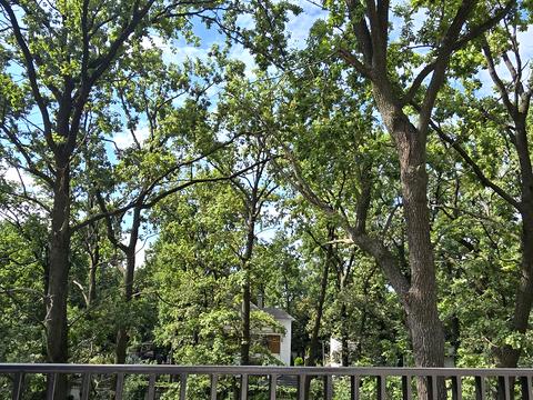 дом по адресу Киево-Мироцкая ул.