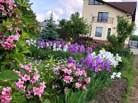 будинок за адресою Жовтнева