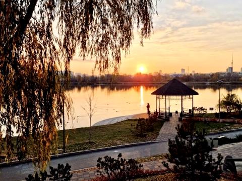 квартира за адресою Оболонський просп., 1