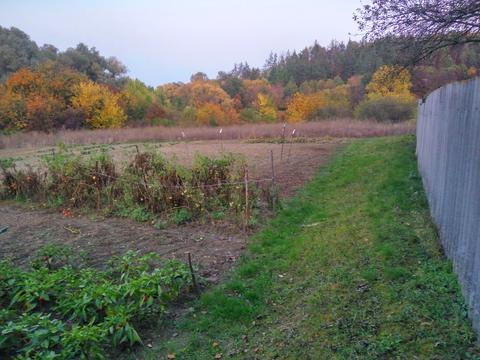 будинок за адресою с. Балико-Щучинка, Козирева, 8