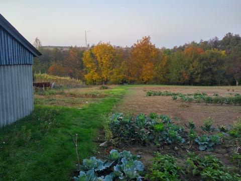 будинок за адресою с. Балико-Щучинка, Козирева, 8