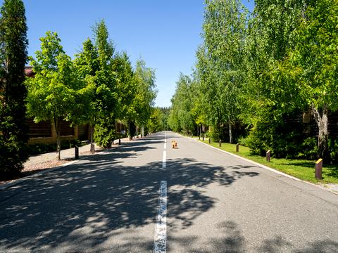 будинок за адресою с. Лісники, Виноградна вул.