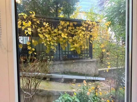 квартира за адресою Київ, Михайла Коцюбинського вул., 9