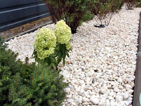 будинок за адресою Ірпінь, Степана Руданського