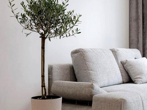 квартира за адресою Героїв Майдану вул., 13