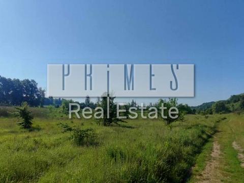 ділянка за адресою Виноградна