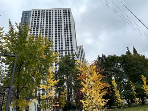 квартира по адресу Академика Заболотного ул., 1-Б