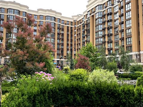 квартира за адресою Миру вул., 6