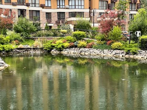 квартира за адресою Миру вул., 6