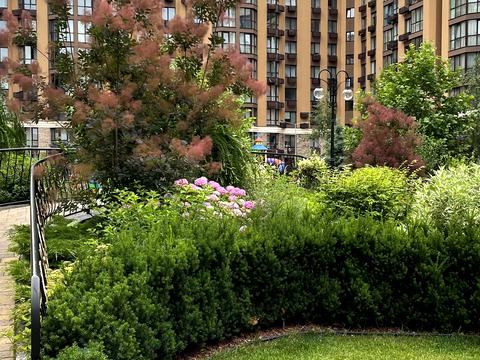 квартира за адресою Миру вул., 6