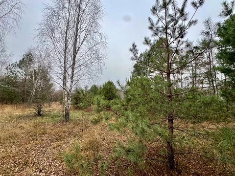 ділянка за адресою с. Здвижівка, 