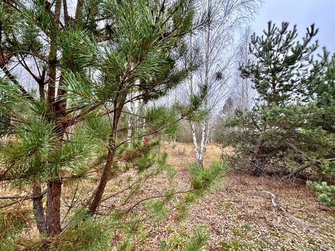 ділянка за адресою с. Здвижівка, 