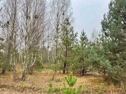 ділянка за адресою с. Здвижівка, 