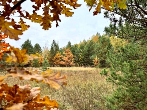 участок по адресу 