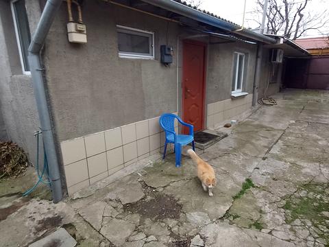 будинок за адресою Пассіонарії вул. (Рапалова)