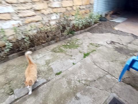 будинок за адресою Пассіонарії вул. (Рапалова)