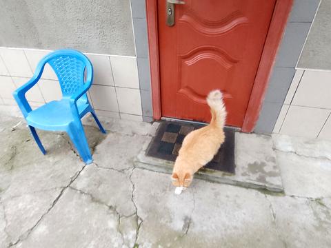 будинок за адресою Пассіонарії вул. (Рапалова)