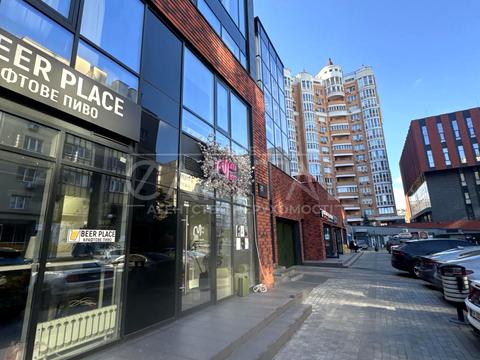 комерційна за адресою Левка Лук'яненка вул. (Маршала Тимошенка), 21