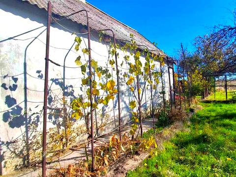 будинок за адресою Степова