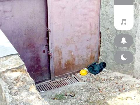 дом по адресу Хвойная