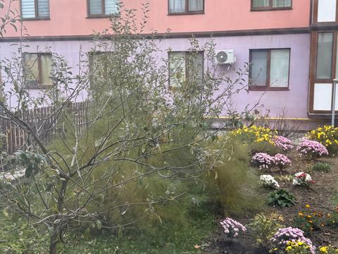 квартира по адресу Ярмоли Мелешка, 2