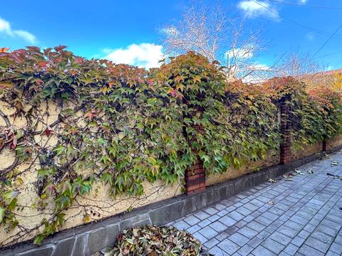 будинок за адресою Дубки вул. (Косарева)