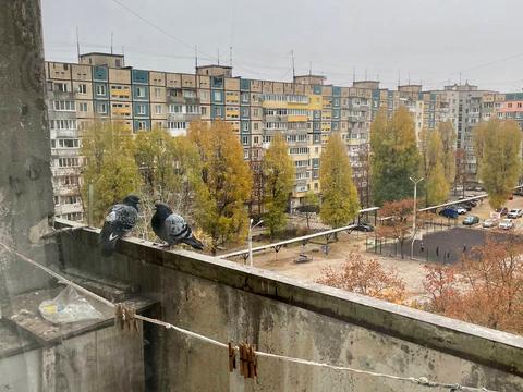 квартира за адресою Велика Діївська вул. (Братів Трофімових), 40