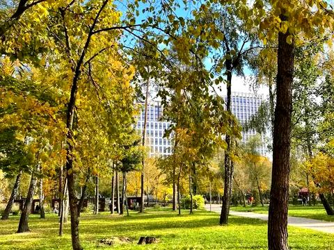 квартира за адресою Князя Романа Мстиславича вул. (Генерала Жмаченка), 26