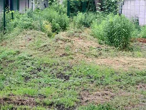 дом по адресу Бориса Лятошинського ул. (1 Травня), 32Е