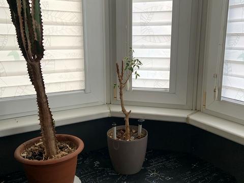 квартира за адресою Дюківська вул., 8