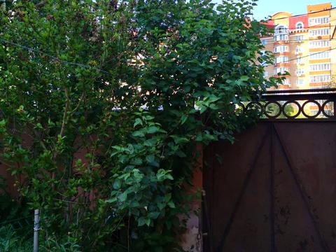 дом по адресу Сечевых Стрельцов ул. (Артема)