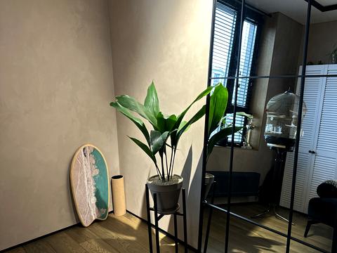 квартира по адресу Университетская ул., 3/2