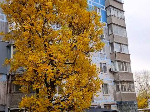 квартира по адресу Мира просп., 83