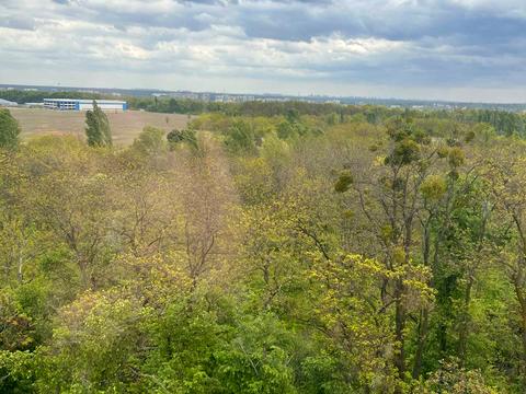 квартира за адресою Володимира Великого Княза, 16