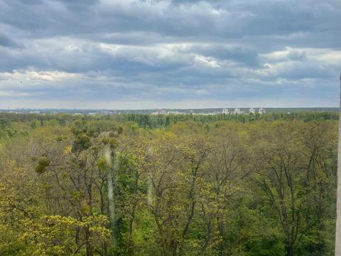 квартира за адресою Володимира Великого Княза, 16