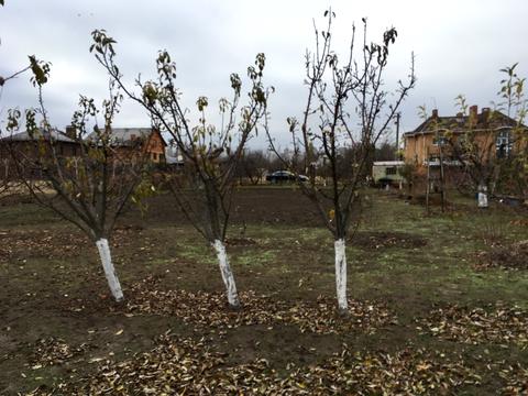 ділянка за адресою Майська
