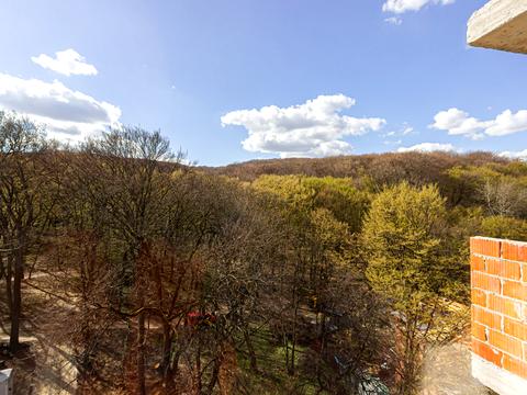 квартира по адресу Лесная ул., 3