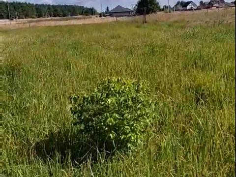 участок по адресу с. Лютеж, 