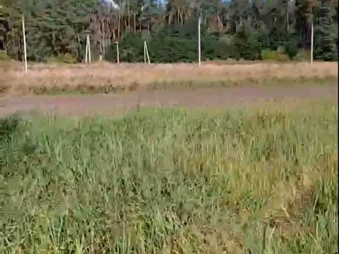 участок по адресу с. Лютеж, 