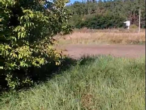 участок по адресу с. Лютеж, 