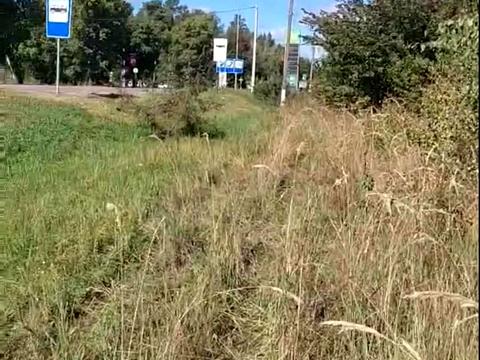 участок по адресу с. Лютеж, 