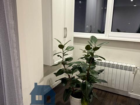 квартира за адресою Миру вул., 1а