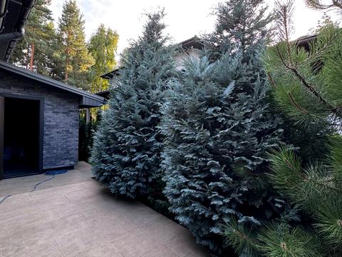 будинок за адресою Ірпінський луг