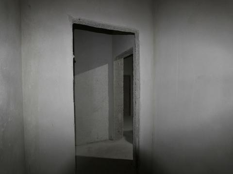 квартира по адресу Пасечная ул., 84в