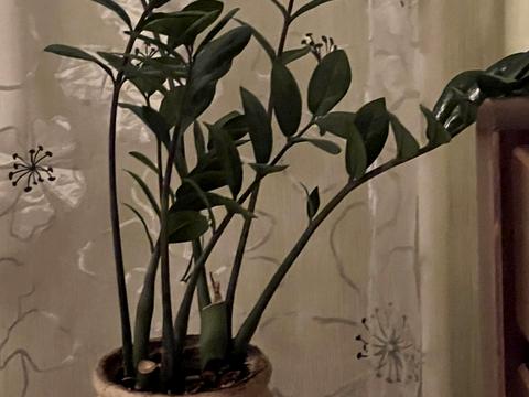 квартира за адресою Європейського Союзу просп. (Правди), 10