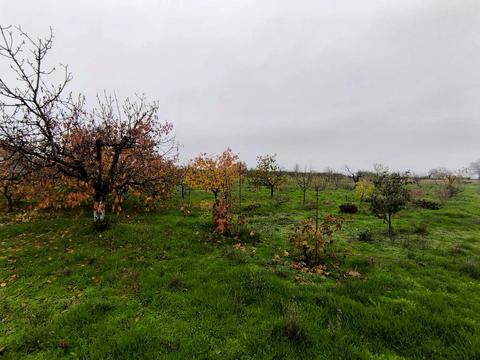 дом по адресу хуторская