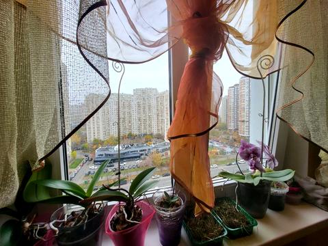 квартира по адресу Урловская ул., 9